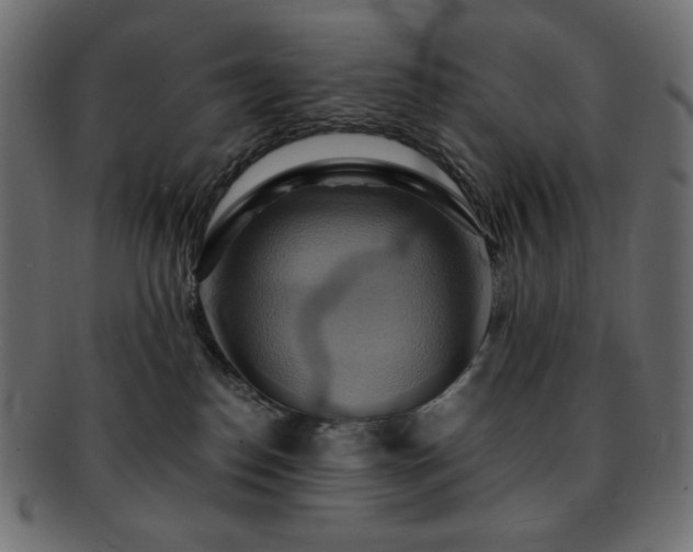X0000093240186200710031609