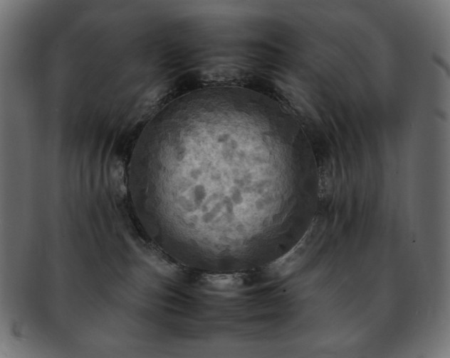 X0000093240187200710031609