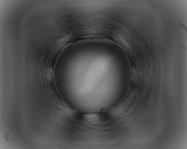 X0000093240189200710031609