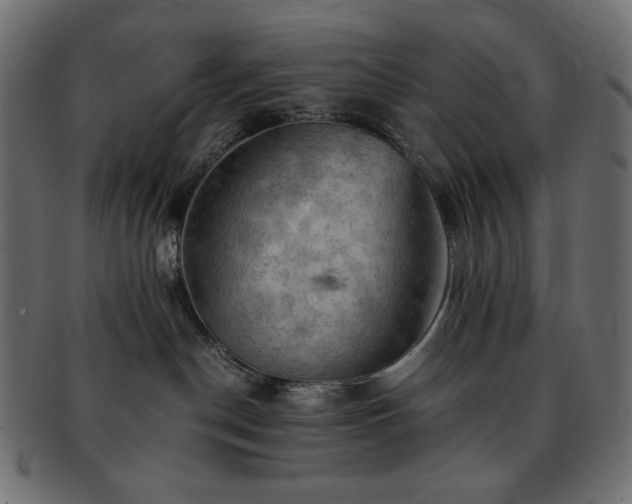 X0000093240190200710031609