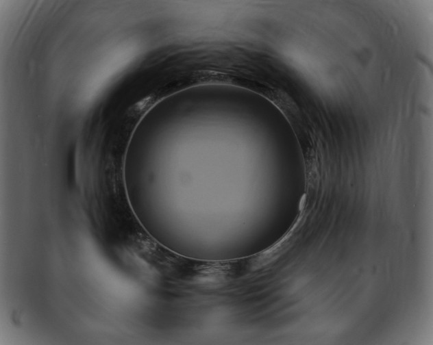 X0000093240191200710031609