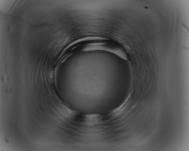 X0000093240192200710031609