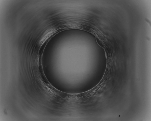 X0000093240194200710031609