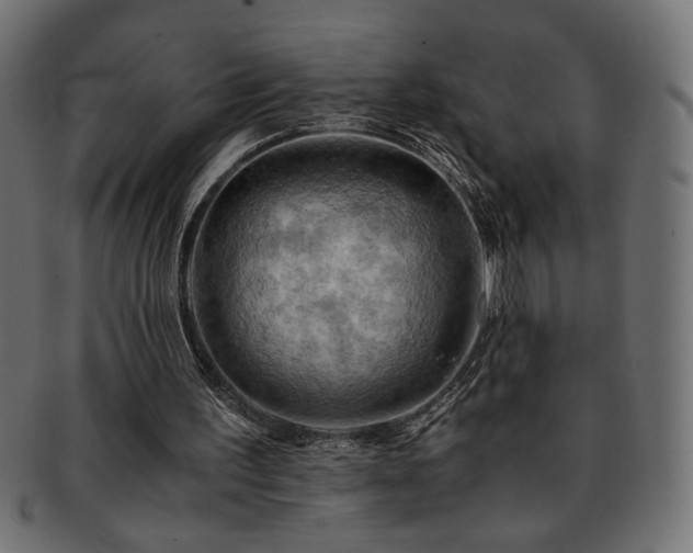 X0000093240195200710031609