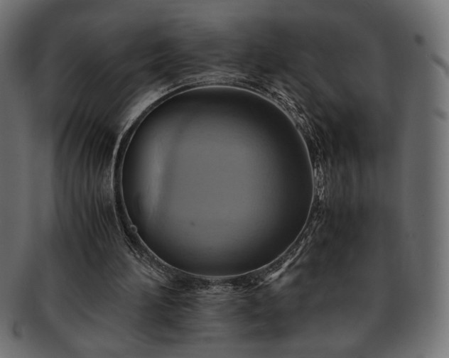 X0000093240196200710031609