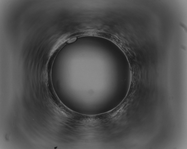 X0000093240198200710031609