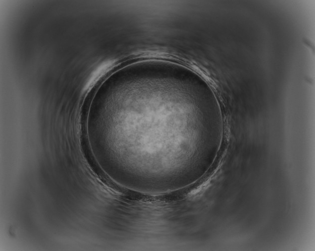 X0000093240199200710031609