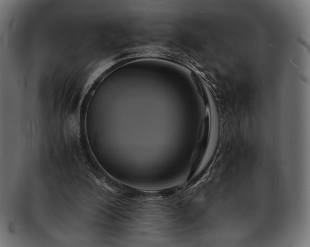 X0000093240200200710031609