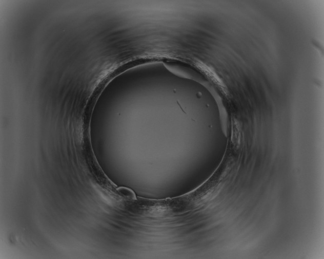 X0000093240204200710031609