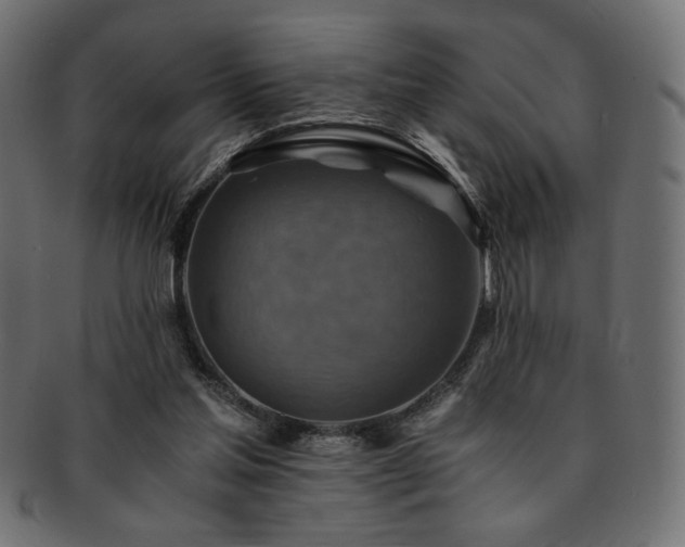X0000093240205200710031609