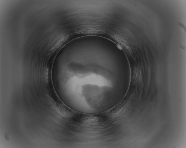 X0000093240206200710031609