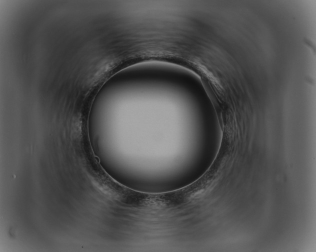 X0000093240207200710031609