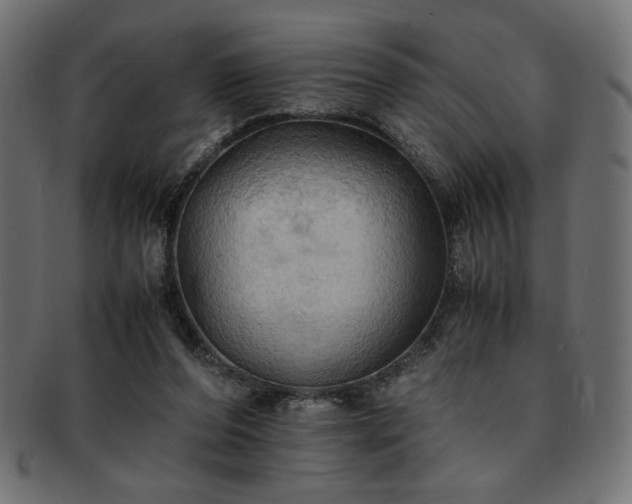X0000093240208200710031609