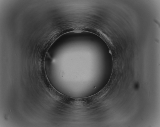 X0000093240209200710031609