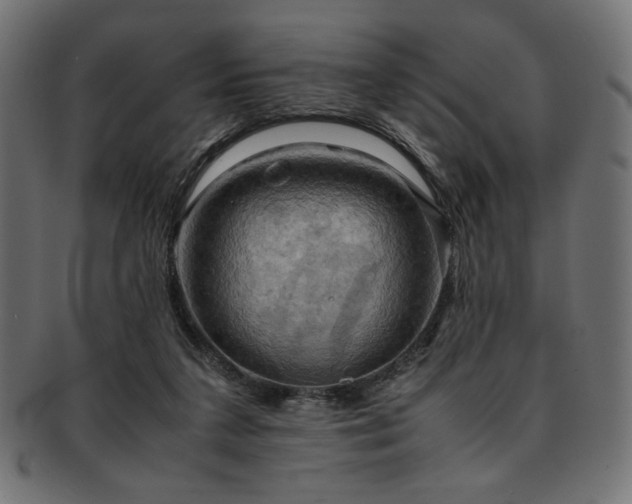 X0000093240211200710031609