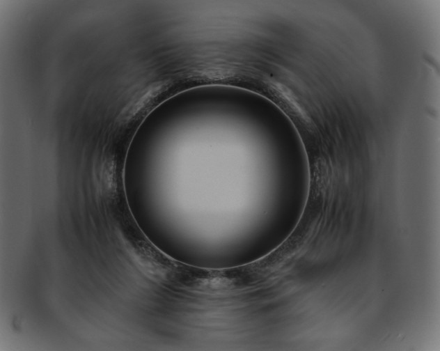 X0000093240212200710031608