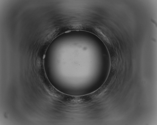 X0000093240213200710031608