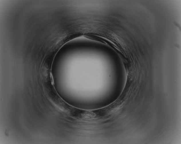 X0000093240215200710031608