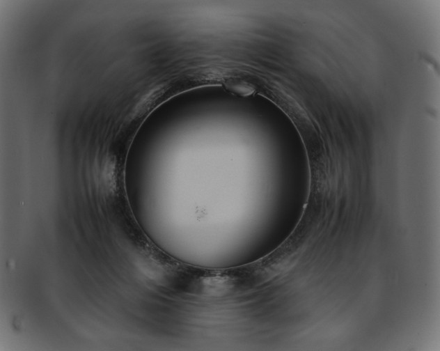 X0000093240216200710031608