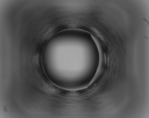 X0000093240217200710031608
