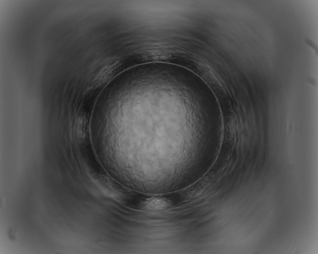 X0000093240218200710031608