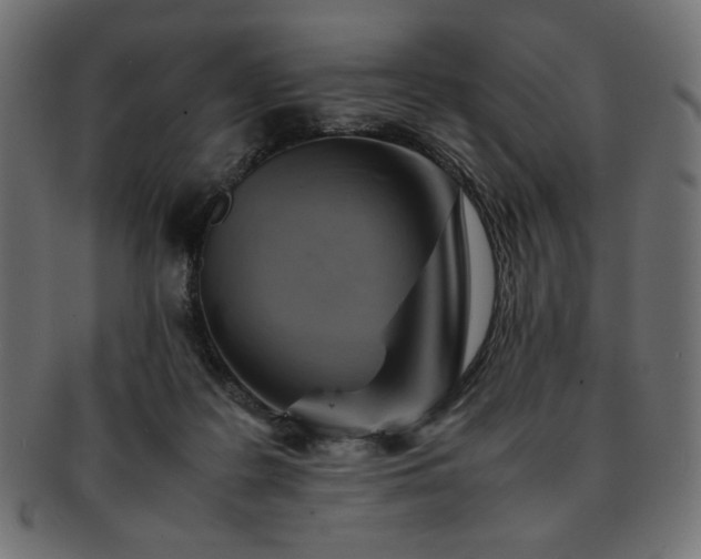 X0000093240219200710031608