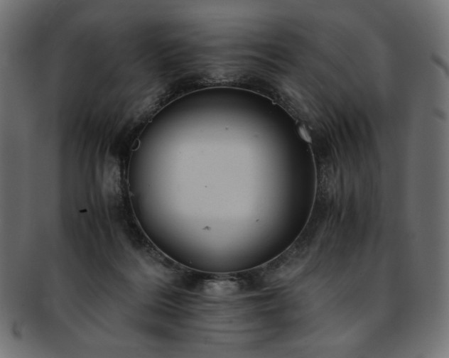 X0000093240220200710031608
