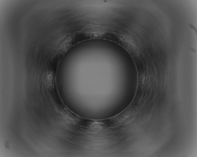 X0000093240222200710031608