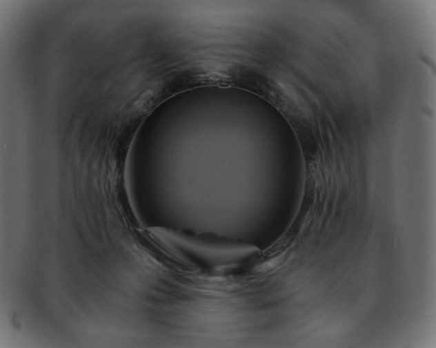 X0000093240223200710031608