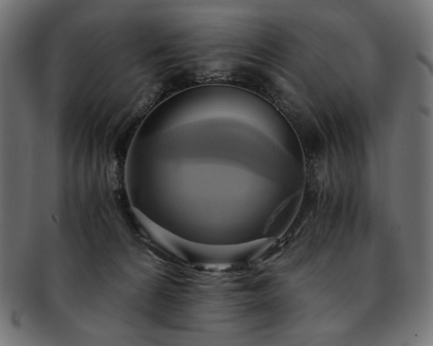 X0000093240224200710031608