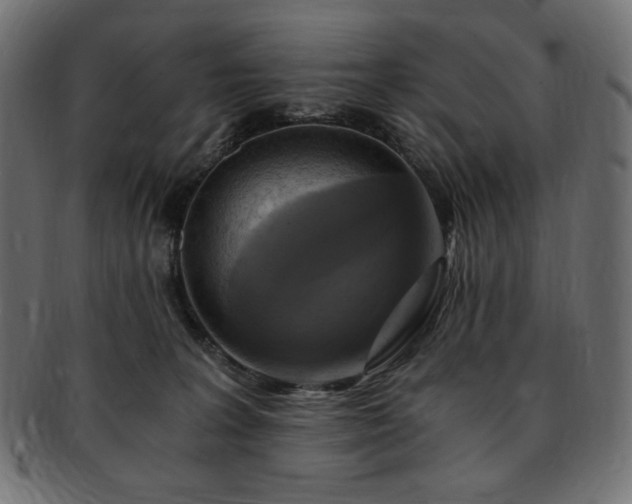 X0000093240227200710031608