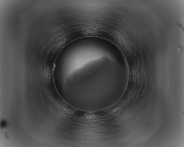 X0000093240228200710031608