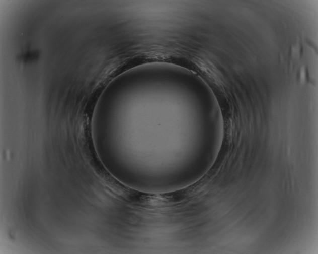 X0000093240229200710031608