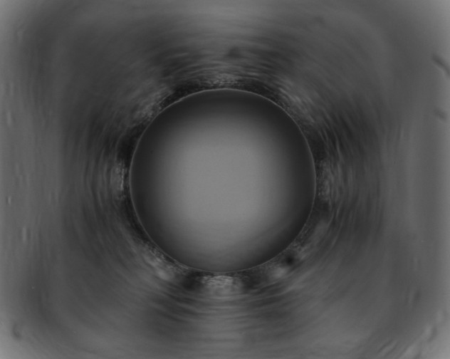 X0000093240230200710031608