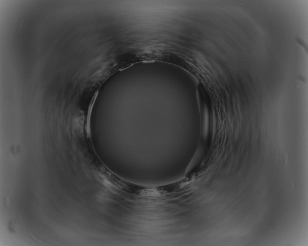 X0000093240231200710031608