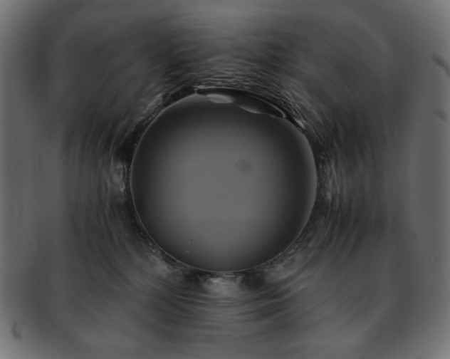 X0000093240232200710031608