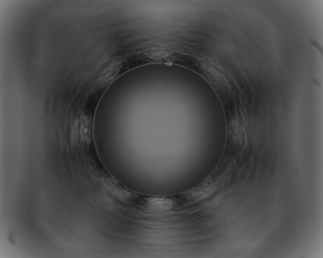 X0000093240234200710031608