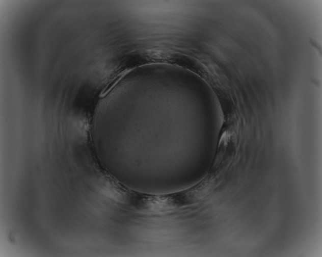 X0000093240235200710031608