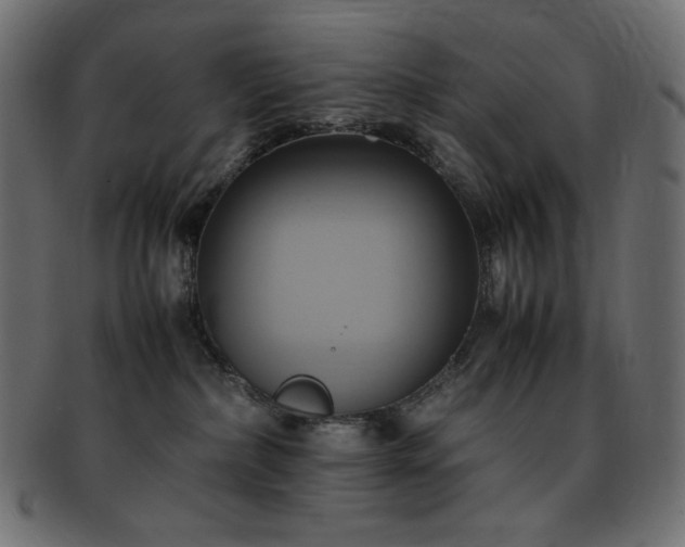X0000093240236200710031608
