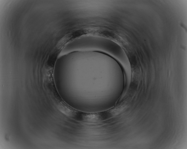 X0000093240237200710031608