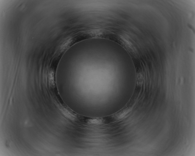 X0000093240238200710031608