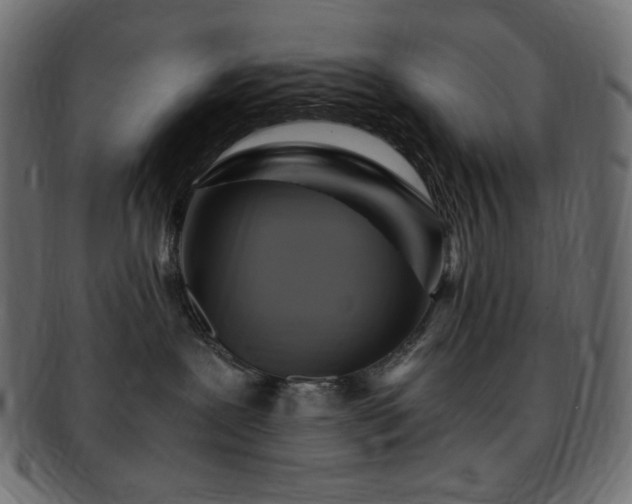 X0000093240239200710031608
