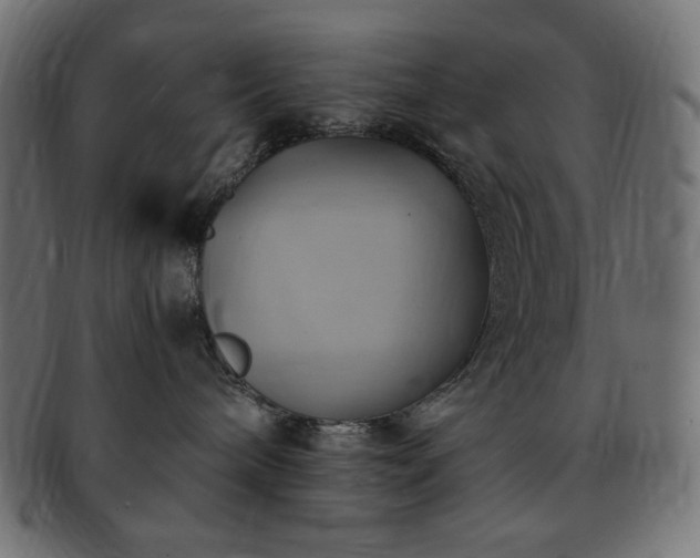 X0000093240240200710031608