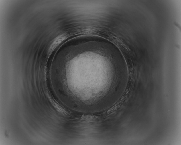 X0000093240242200710031608