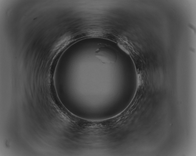 X0000093240243200710031608