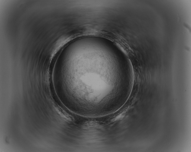 X0000093240244200710031608