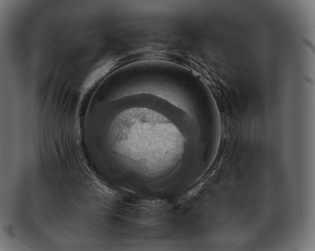 X0000093240245200710031608