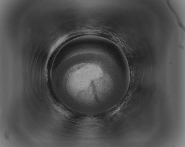 X0000093240246200710031608