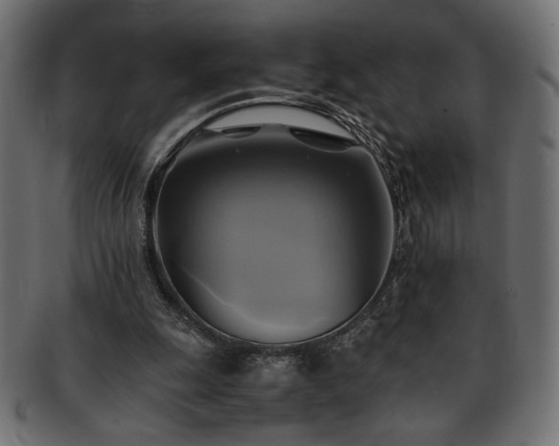 X0000093240247200710031608