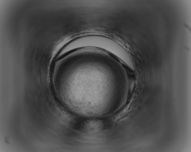 X0000093240248200710031608